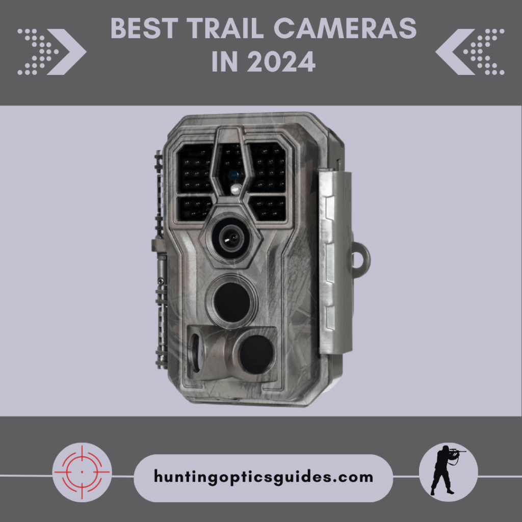 Best Trail Cameras in 2024